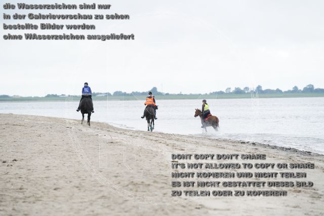s_K3F04819.JPG